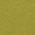 Golden Sand