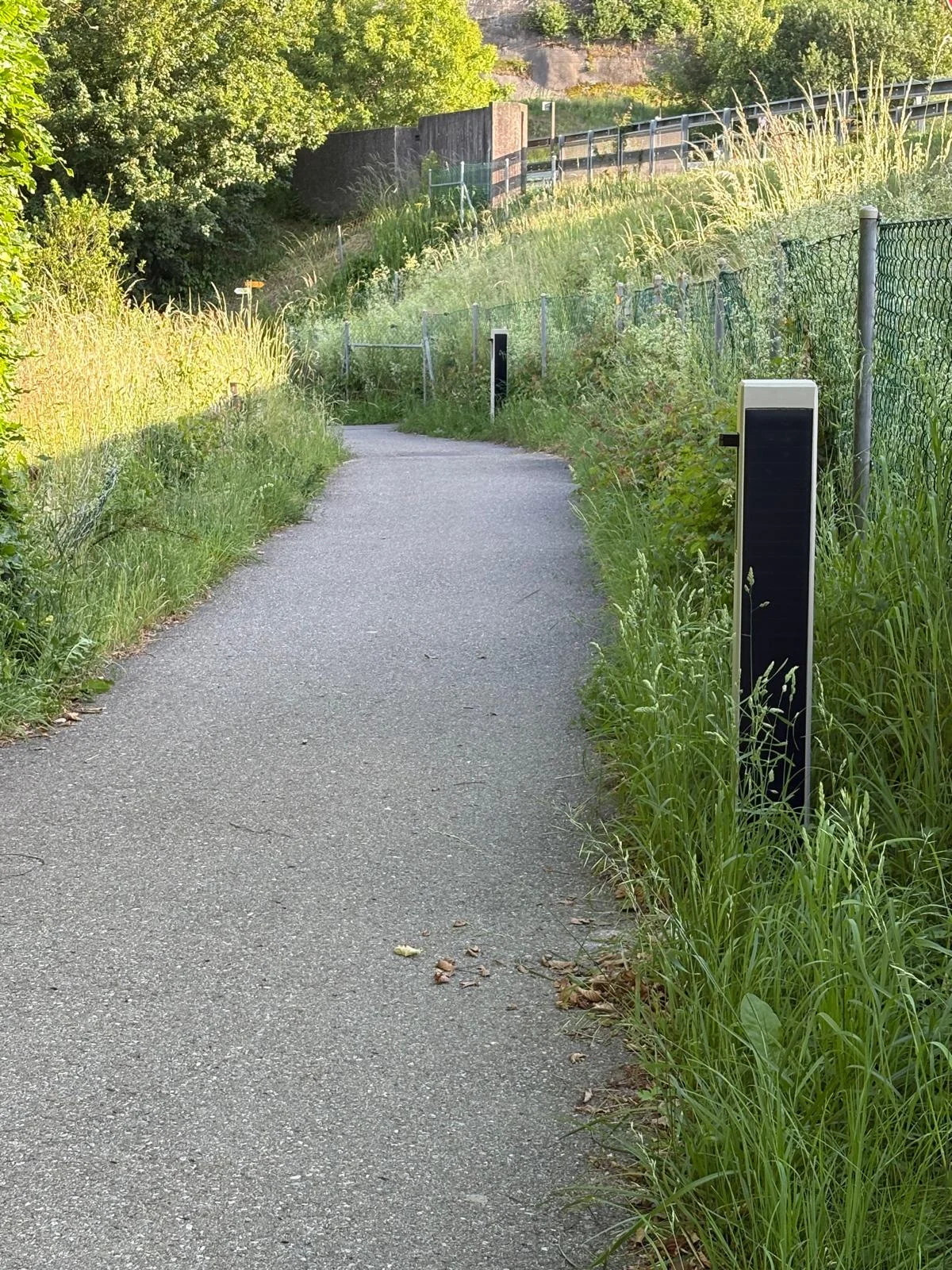 Spitzmatte 1